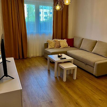 Alexander Cozy Apartment Free Private Parking Mediaş Extérieur photo