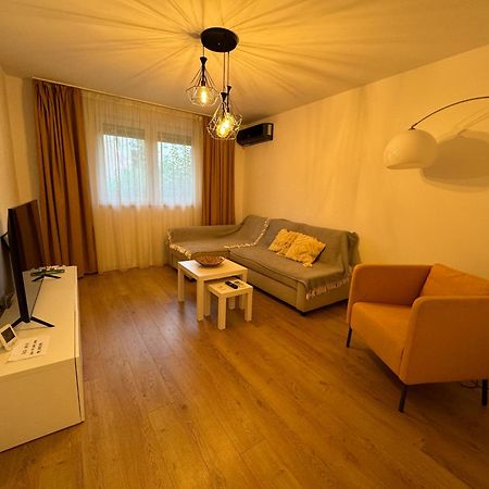 Alexander Cozy Apartment Free Private Parking Mediaş Extérieur photo