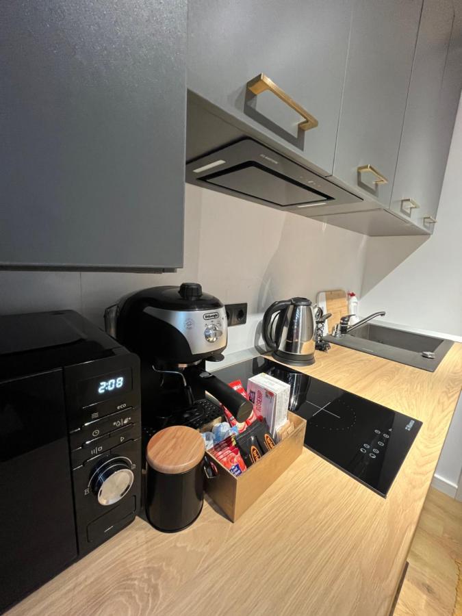 Alexander Cozy Apartment Free Private Parking Mediaş Extérieur photo